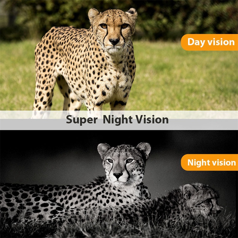 -801A 4K UHD 36MP 4G LTE Night - Outdoor Hunting Camera Wireless 评论和价格