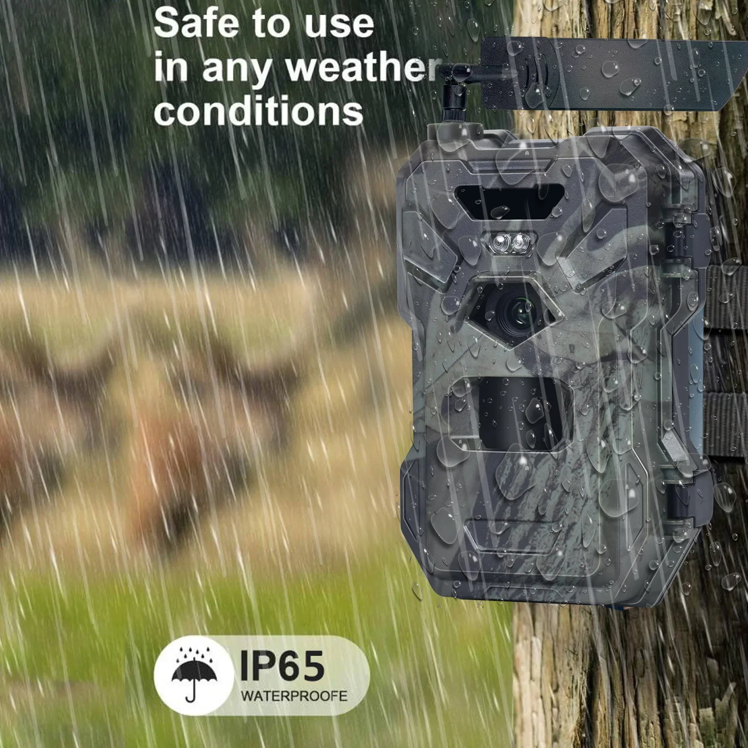 HC-880Pro 4G 30MP HD 2K Night  - Outdoor Hunting Camera Wireless 评论和价格