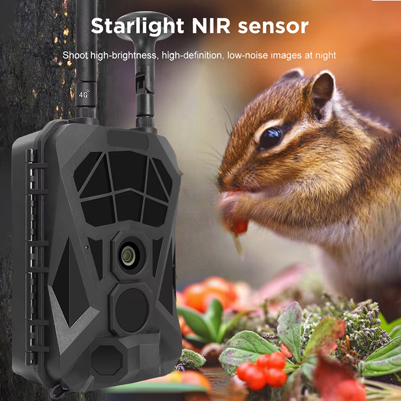Trail Camera 4G GPS Wireless I - Outdoor Hunting Camera Wireless 评论和价格