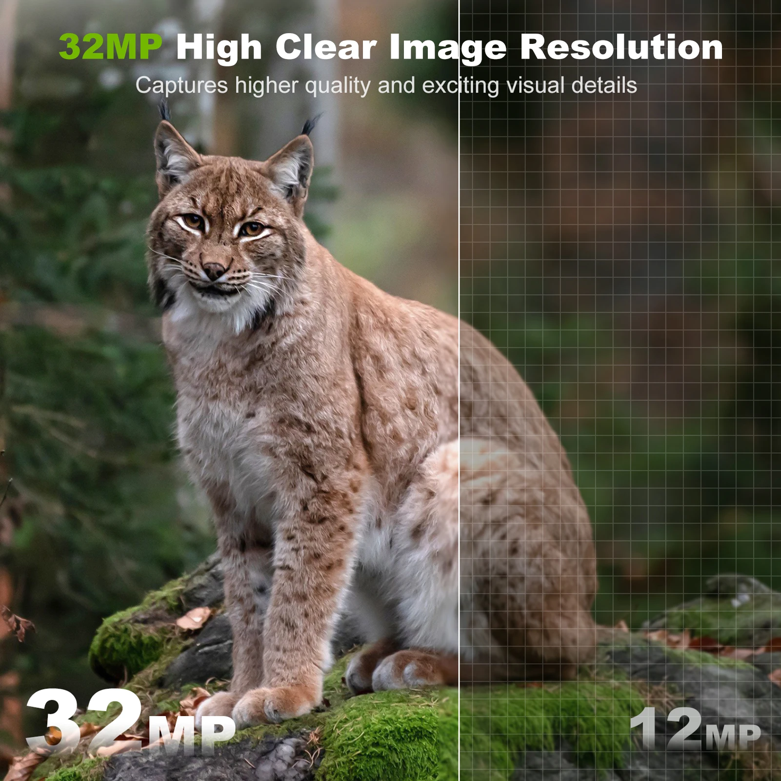 Solar Camera Outdoor Wireless  - Outdoor Hunting Camera Wireless 评论和价格