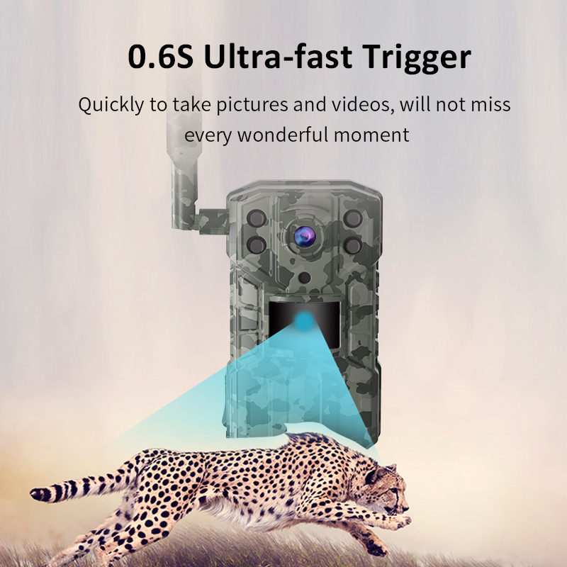 2K Support Solar Powered Lithi - Outdoor Hunting Camera Wireless 评论和价格